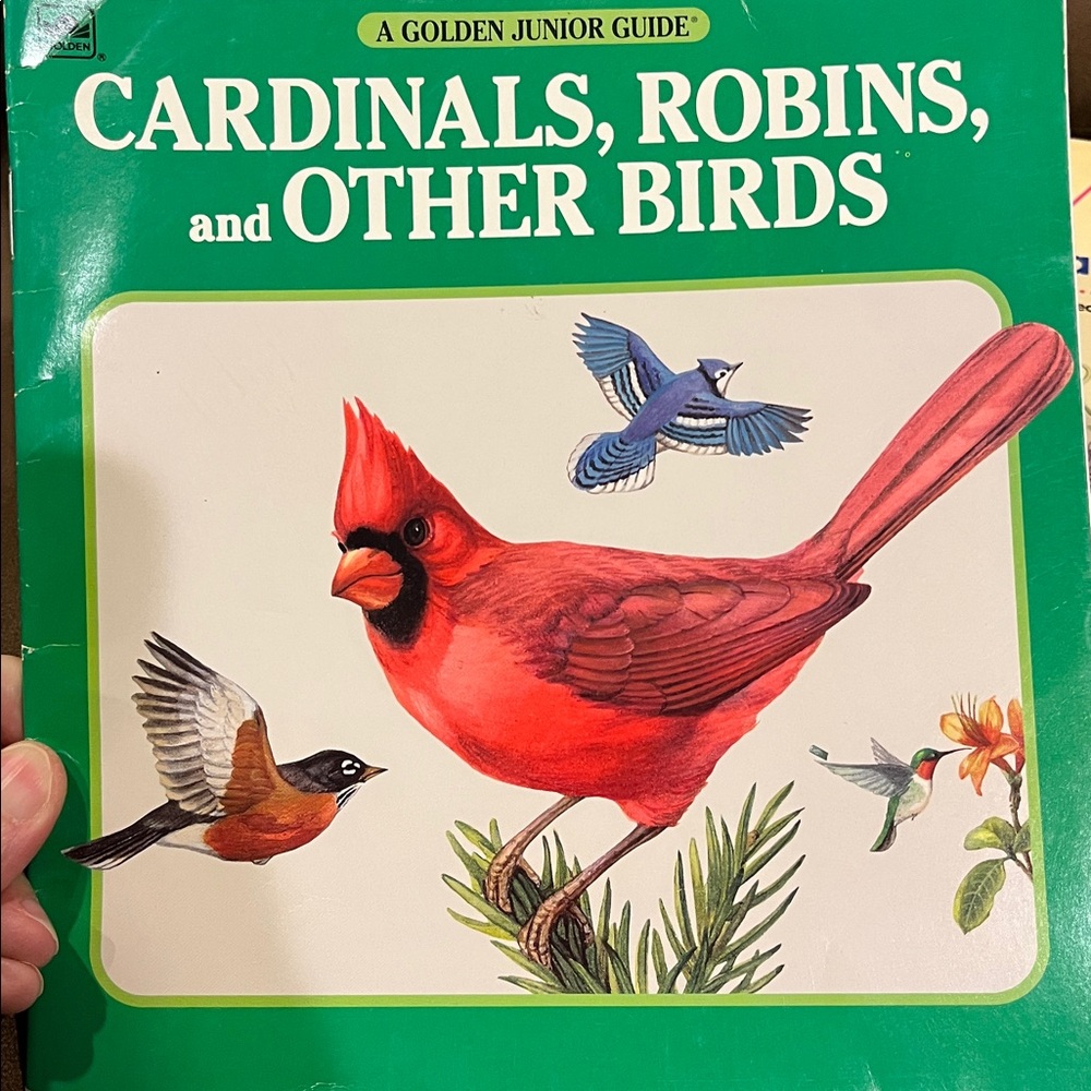 Bird and Rainforest Book Set - Picture 5 of 15